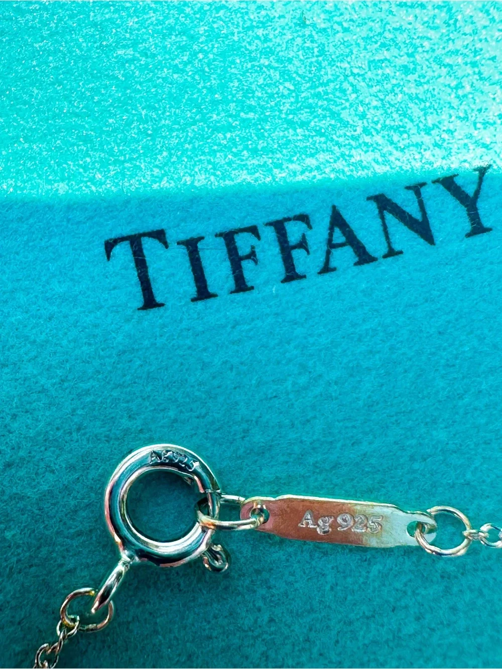 Tiffany & Co Purse Charm Necklace - Picture 7 of 7